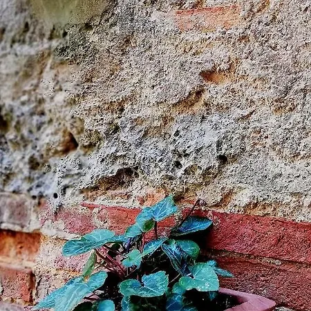 La Spelonca Degli Asini Prata