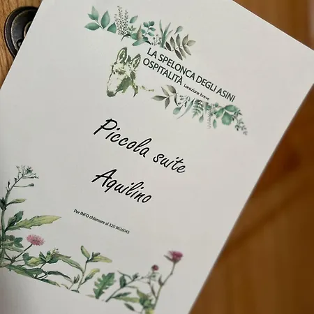 La Spelonca Degli Asini * Prata