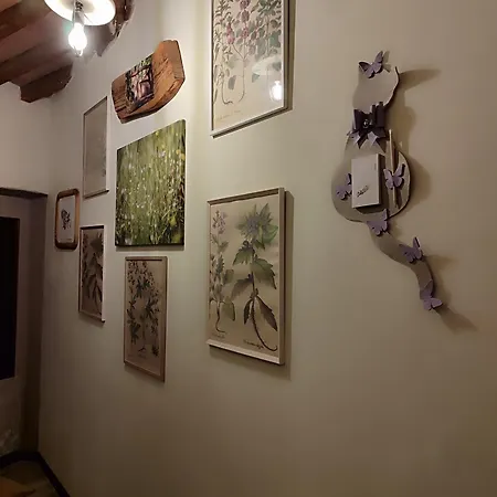 La Spelonca Degli Asini Apartment *