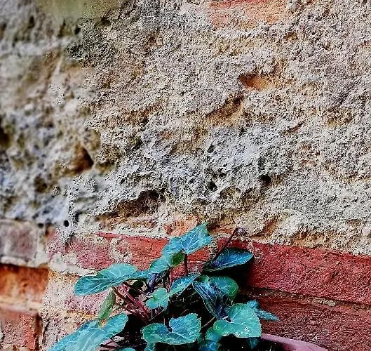 La Spelonca Degli Asini Prata